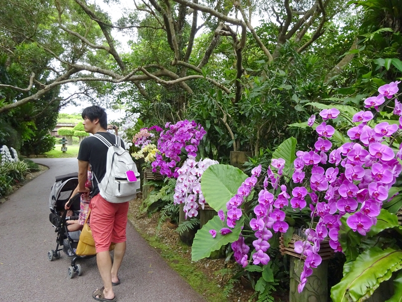 沖縄の自然を満喫『ビオスの丘』ふれあいで子供もうれしい！