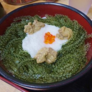 元祖海ぶどう