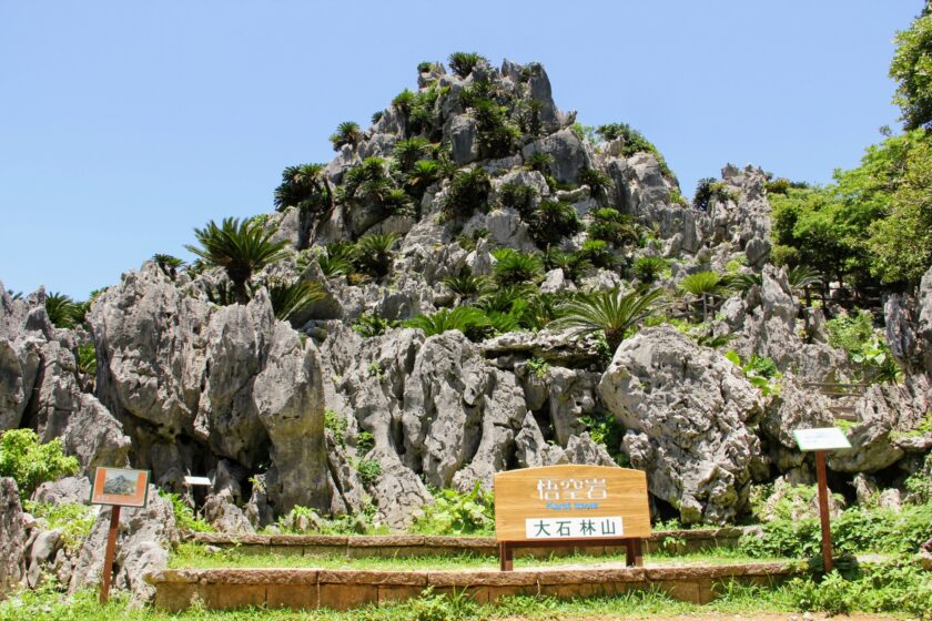 沖縄の定番観光スポット『大石林山』はパワースポット？