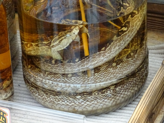 ハブ入りは買うな？疲労困憊の30代に捧ぐ「失敗しないハブ酒」の選び方